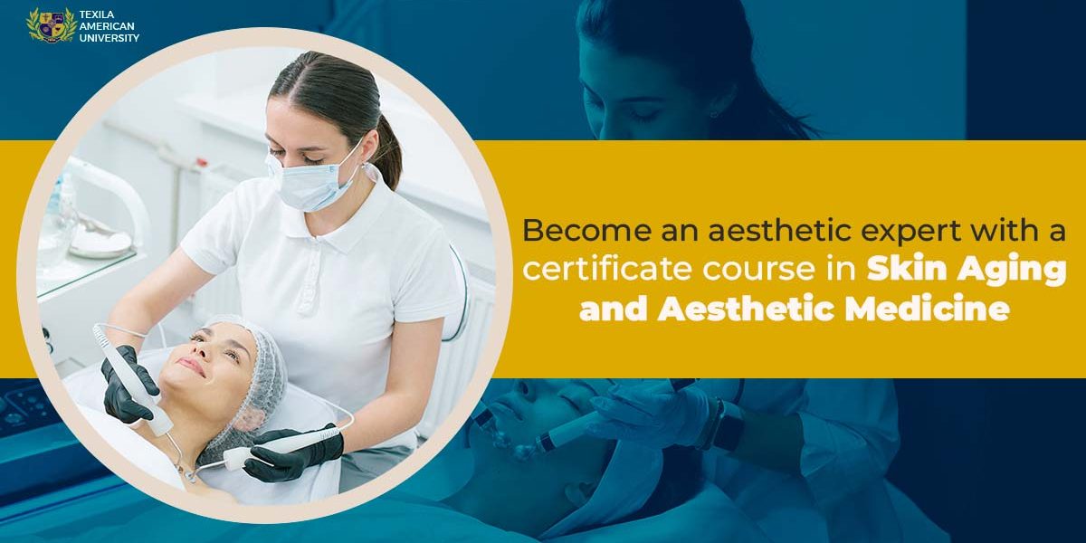 Become an aesthetic expert with a certificate course in skin aging and aesthetic medicine